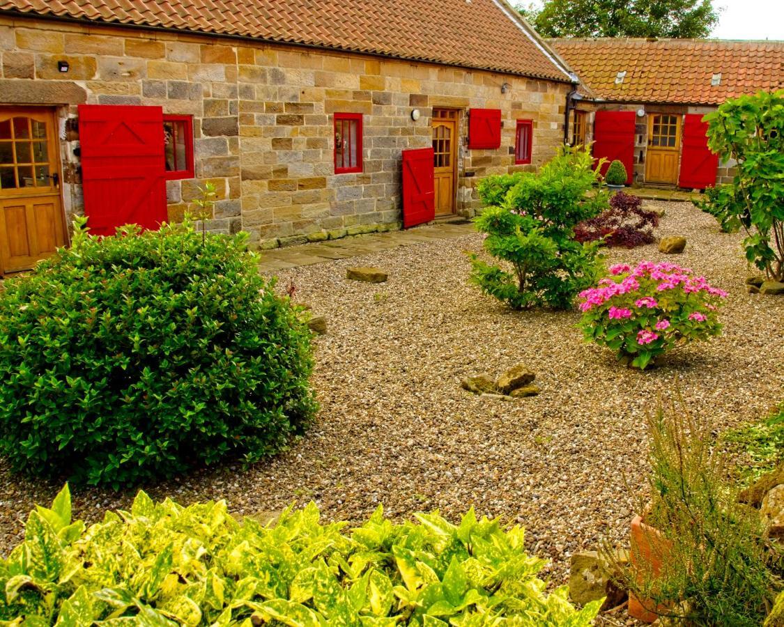 Spangle Cottage, Borrowby Farm Cottages Staithes Kültér fotó