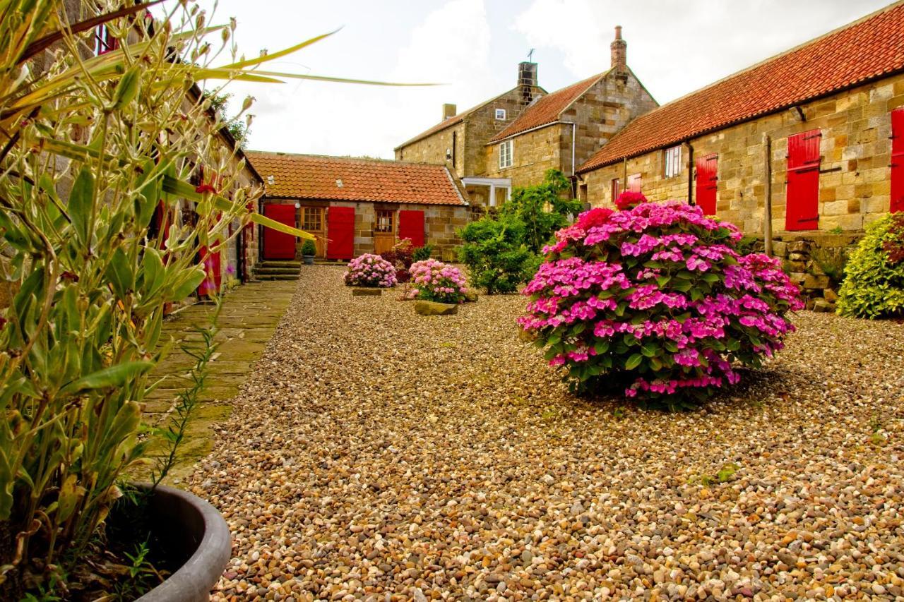 Spangle Cottage, Borrowby Farm Cottages Staithes Kültér fotó