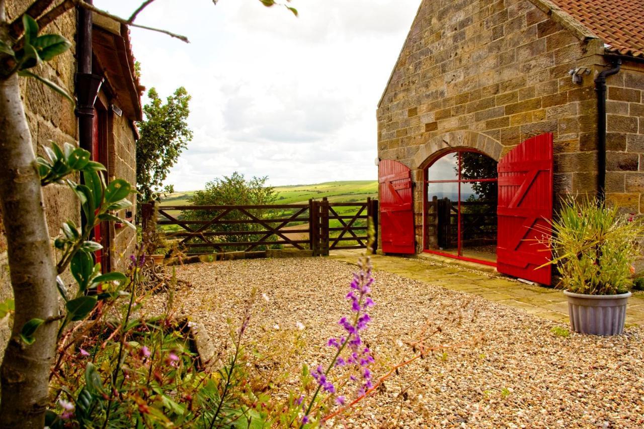 Spangle Cottage, Borrowby Farm Cottages Staithes Kültér fotó